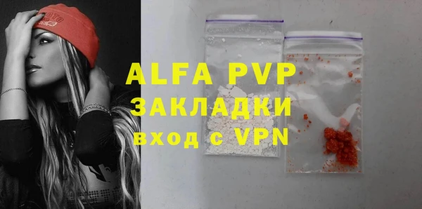 молекула духа Бородино