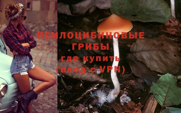 jwh Бронницы