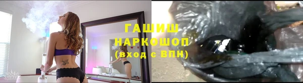 молекула духа Бородино