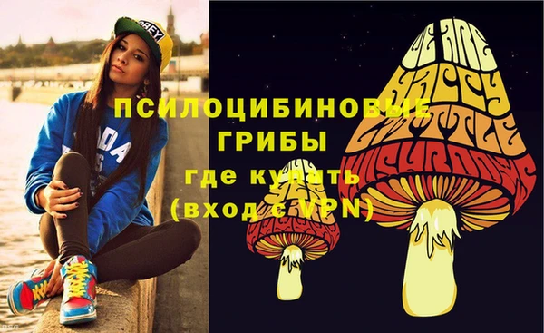 молекула духа Бородино