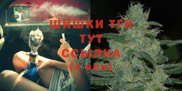 молекула духа Бородино
