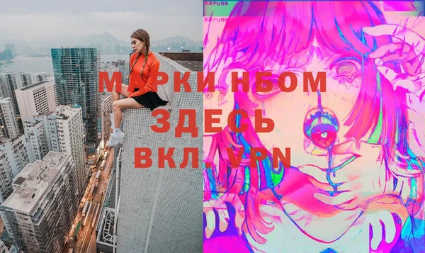 молекула духа Бородино