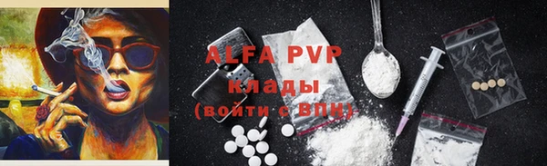 молекула духа Бородино