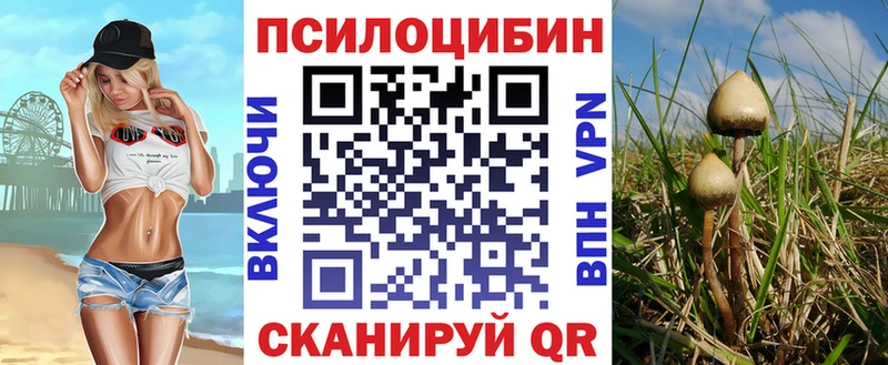 Псилоцибиновые грибы Magic Shrooms Кстово